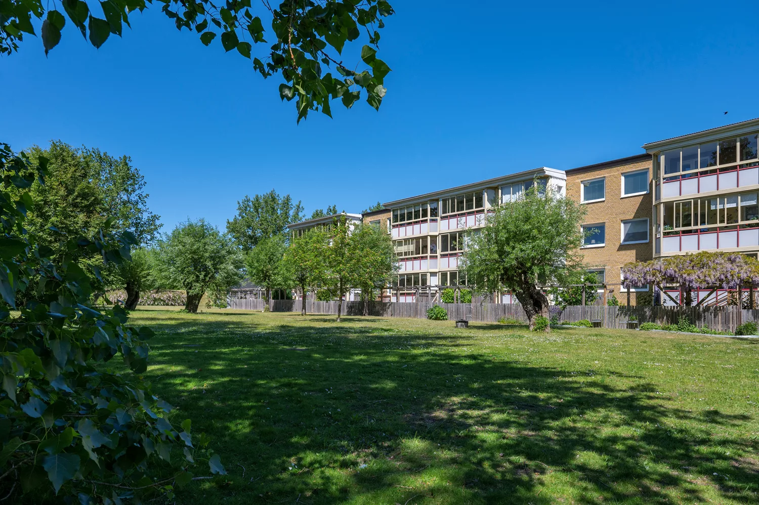 DZC_7827