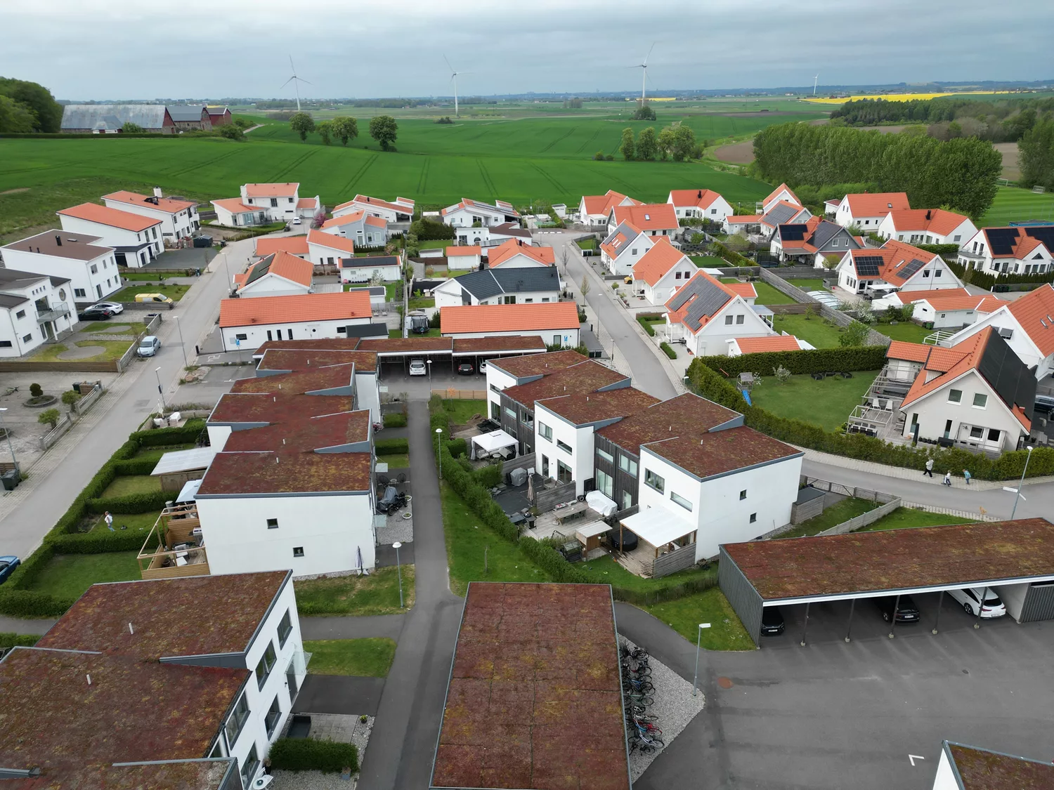 DJI_0332