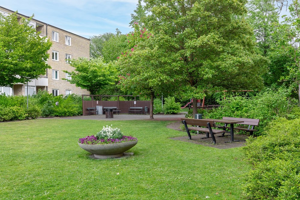 Rödkullastigen 10C-3