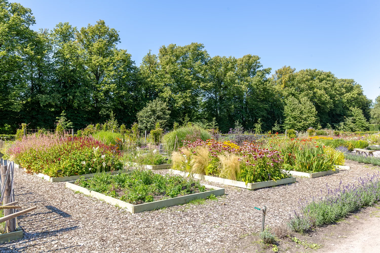 Katrinetorp områdesbilder-5