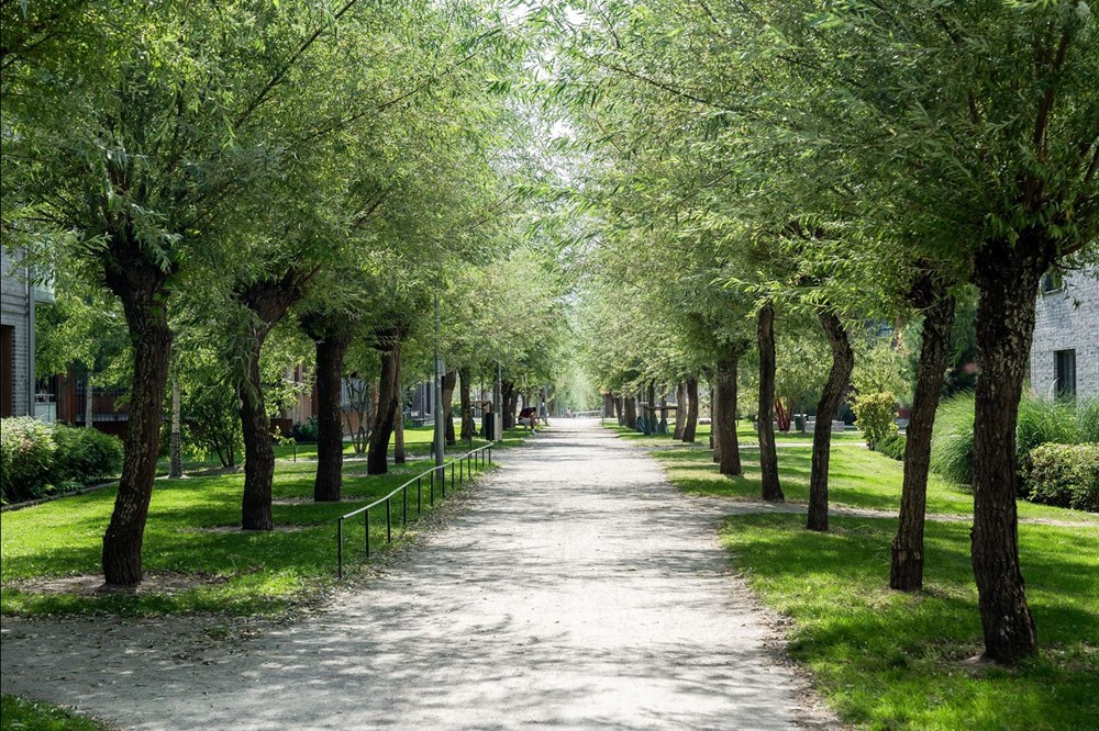 761367-420-1_051-2-2