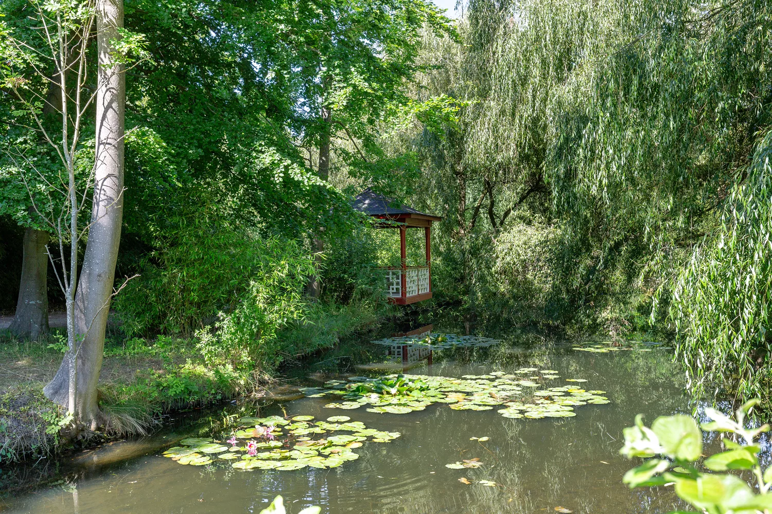 Katrinetorp områdesbilder-7