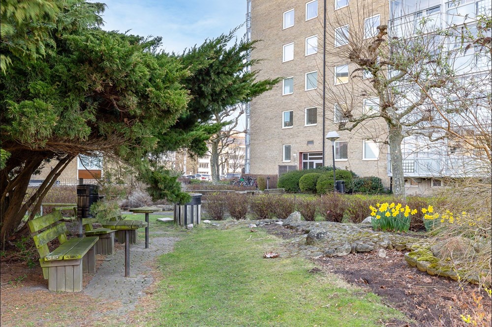 Lektorsgången 5A-13