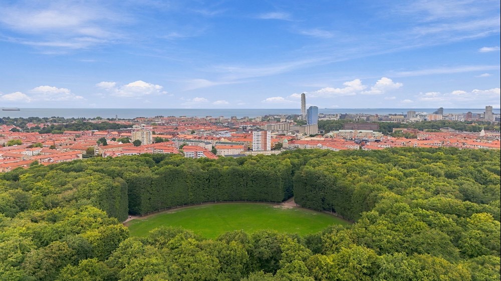 albinsrogatan-5a-viewly-57