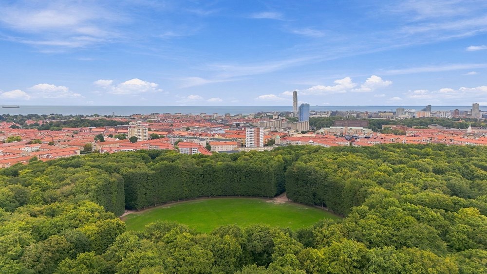 albinsrogatan-5a-viewly-57