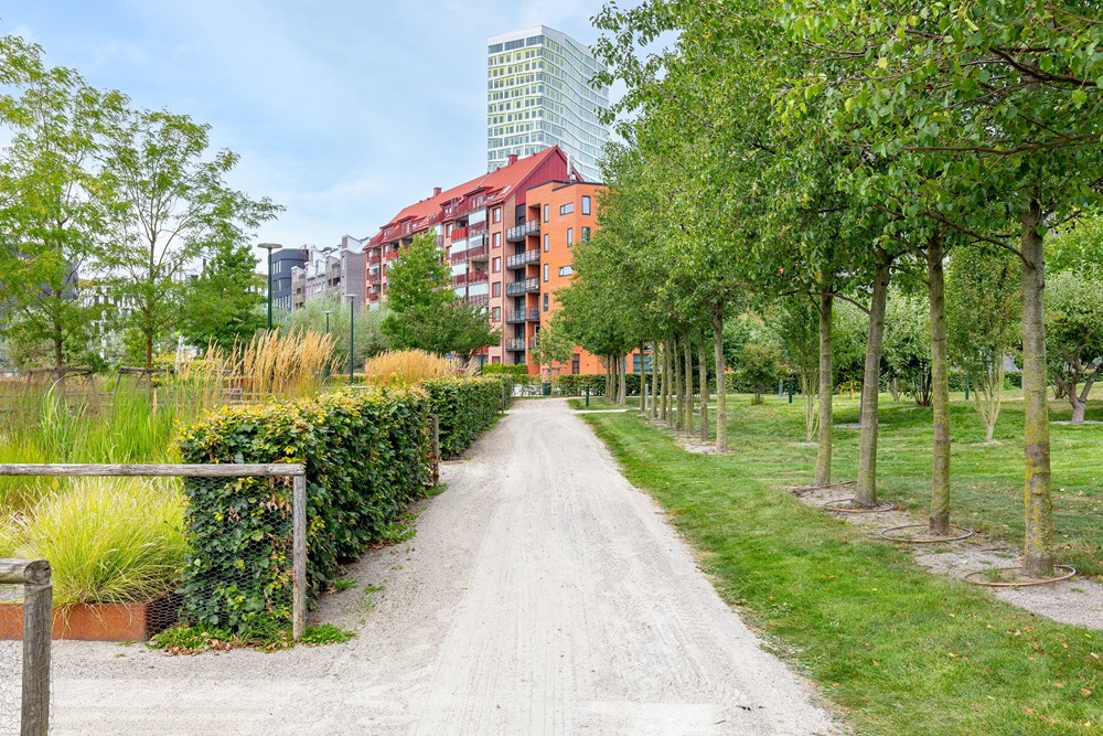 Områdesbilder Hyllie-5