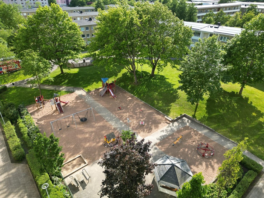 DJI_0389-2